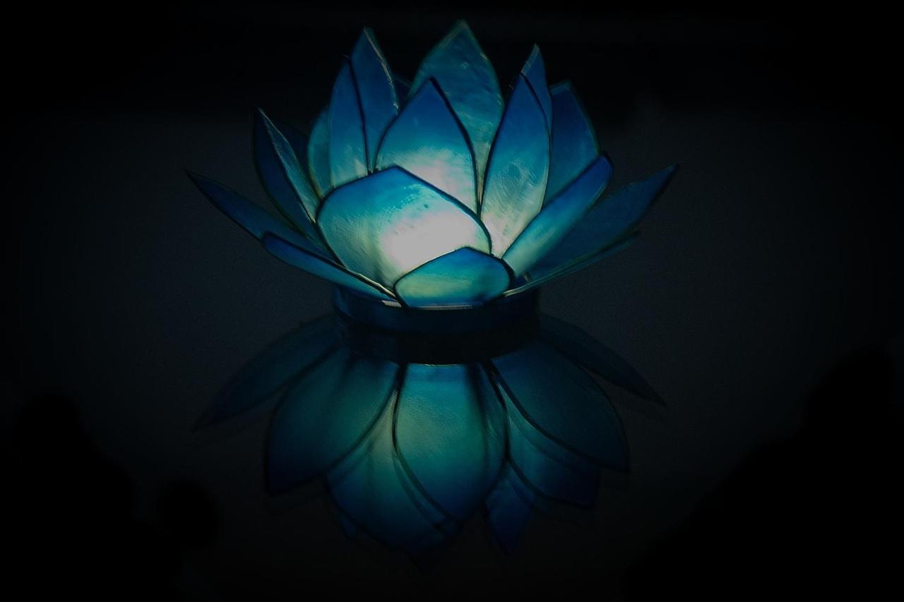 וינה Blue Lotus Apartment מראה חיצוני תמונה